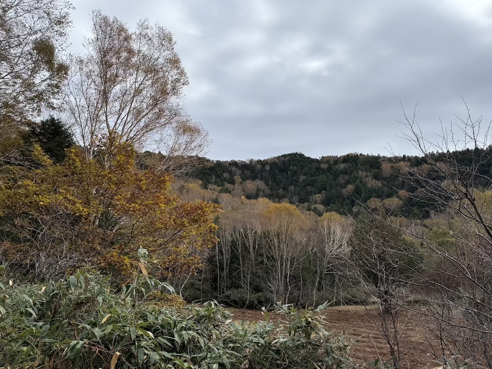 おたの申す平サイトをのぞむ